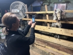 La Ferme des Perroquets, Pour l'Amour des Chèvres