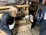 La Ferme des Perroquets, Pour l'Amour des Chèvres