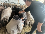 La Ferme des Perroquets, Pour l'Amour des Chèvres