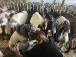 La Ferme des Perroquets, Pour l'Amour des Chèvres